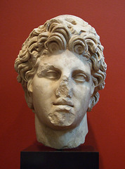 Head of one of the Dioscuri in the Princeton University Art Museum, August 2009