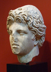 Head of one Dioscuri in the Princeton University Art Museum, August 2009