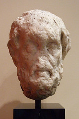Head of Homer in the Princeton University Art Museum, August 2009