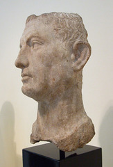 Portrait of a Man Recarved from an Anta Capital in the Princeton University Art Museum, August 2009