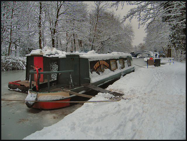 Hobbit in winter