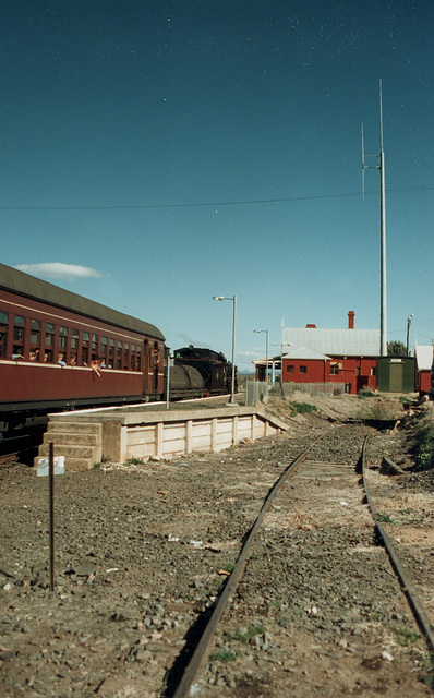 199506Tamworth59100010