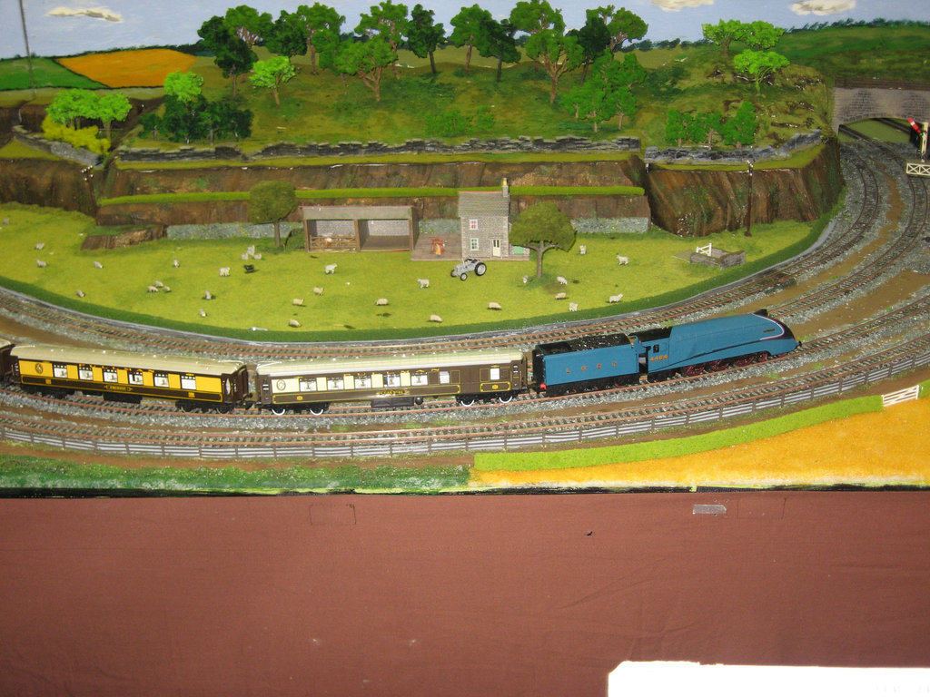 Toowoomba Model Trains 2011 012