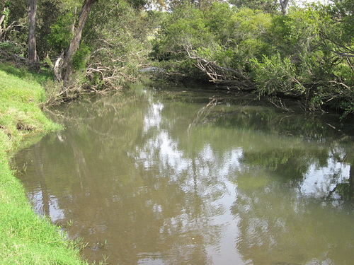 Running stream trip 120423 011