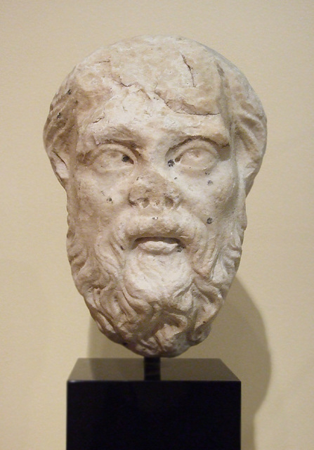 Portrait of Socrates in the Princeton University Art Museum, August 2009