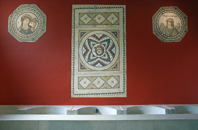 Mosaics from Antioch in the Princeton University Art Museum, August 2009