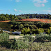 Royal Botanic Gardens Cranbourne