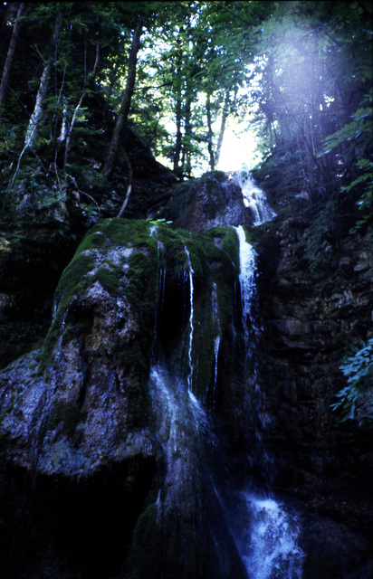 Schwarzwald anno 1994