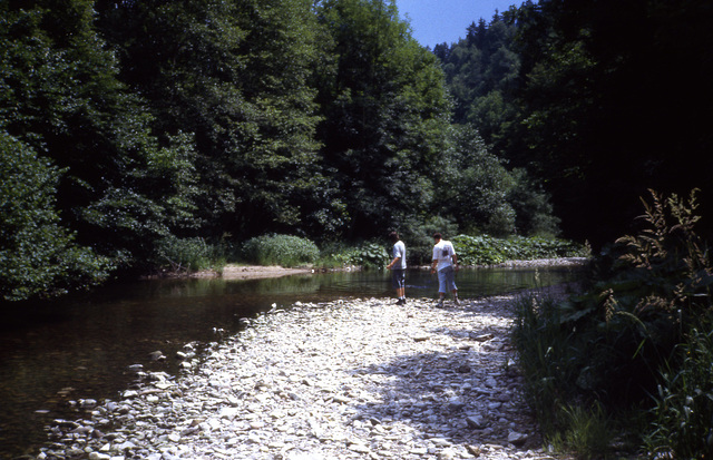 Schwarzwald anno 1994