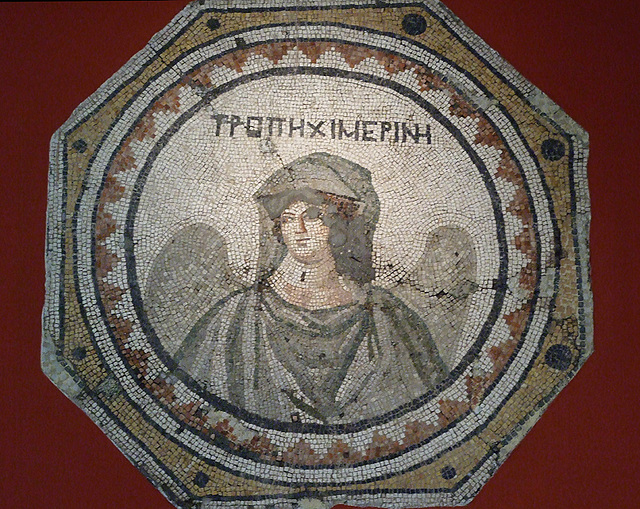 Season Mosaic from Antioch: Winter in the Princeton University Art Museum, August 2009