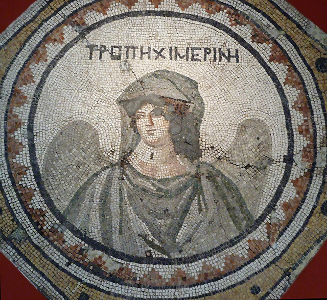Detail of a Season Mosaic from Antioch: Winter in the Princeton University Art Museum, August 2009