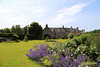 Summer Blooms in the rose Garden