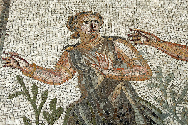 Detail of a Mosaic with Apollo and Daphne from Antioch in the Princeton University Art Museum, August 2009