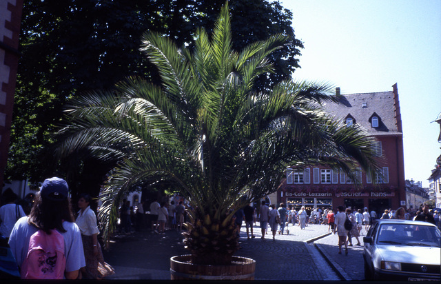 Freiburg anno 1994