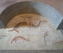 Detail of a Mosaic from Antioch with Cupids Riding Dolphins and Marine Creatures in the Princeton University Art Museum, August 2009