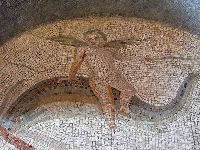 Detail of a Mosaic from Antioch with Cupids Riding Dolphins and Marine Creatures in the Princeton University Art Museum, August 2009