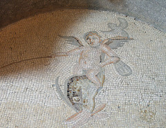 Detail of a Mosaic from Antioch with Cupids Riding Dolphins and Marine Creatures in the Princeton University Art Museum, August 2009