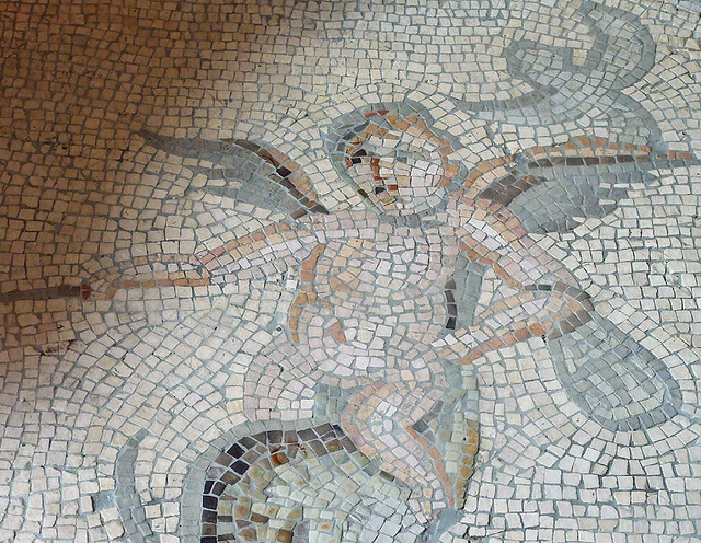 Detail of a Mosaic from Antioch with Cupids Riding Dolphins and Marine Creatures in the Princeton University Art Museum, August 2009