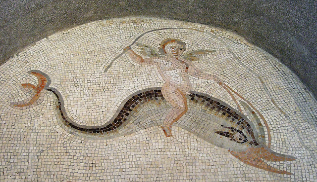 Detail of a Mosaic from Antioch with Cupids Riding Dolphins and Marine Creatures in the Princeton University Art Museum, August 2009