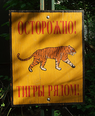 Sign in Russian with a Tiger at the Bronx Zoo, May 2012