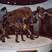 Mammoth Fossil Skeleton on Display at the La Brea Tar Pit's Page Museum, 2003