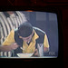 DSCN2264