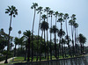 Echo Park in Los Angeles, July 2008