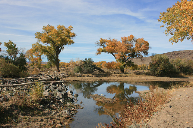 Carson River