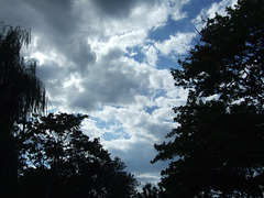 The Sky in Heckscher Park, September 2010
