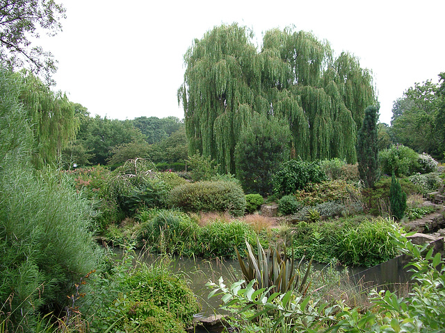 Regent's Park