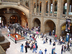 Natural History Museum