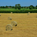 Harvest time, Staffordshire