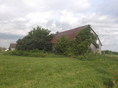 Grange abandonnée à vendre / Abandoned barn for sale.