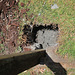 FenceRepair2012 034