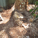 FenceRepair2012 040