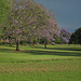 EastCkPark 002