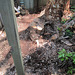 FenceRepair2012 039