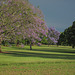 EastCkPark 004