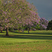 EastCkPark 007