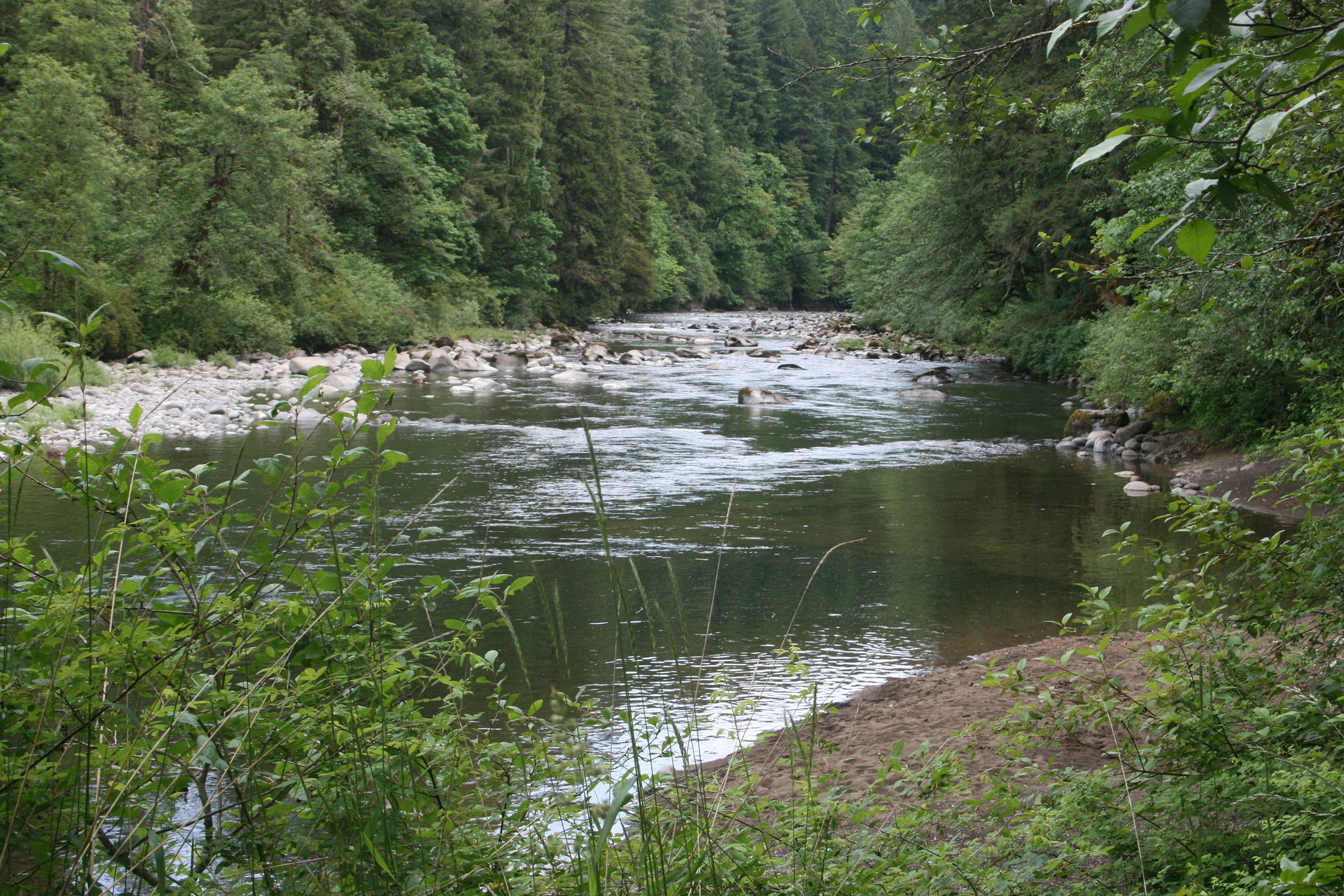 Sandy River