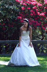 Tattooed Bride in Old Westbury Gardens, May 2009