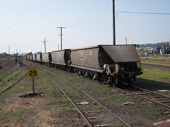 201109Toowoomba 004