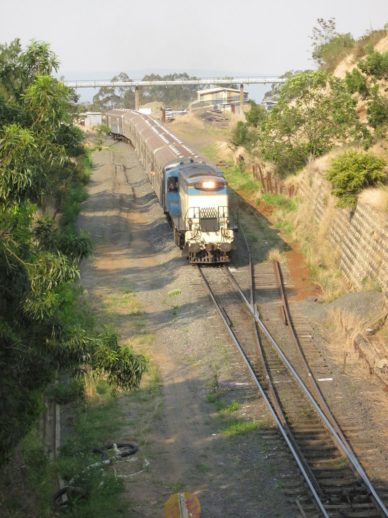 201109Toowoomba 010