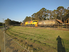 201109Toowoomba 031