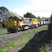 201109Toowoomba 034