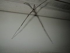 Stick spider1212 002