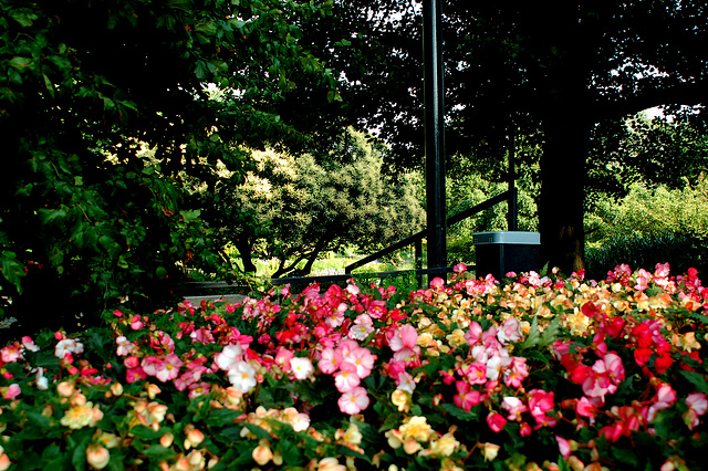 Planten und Blomen