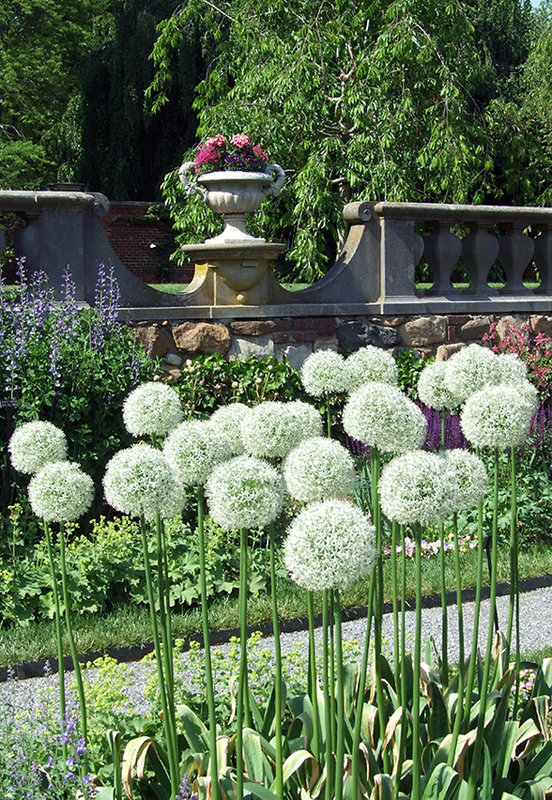 Old Westbury Gardens, May 2009