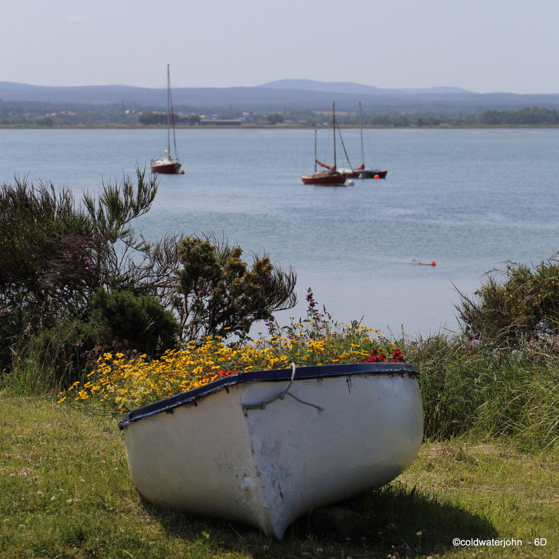 Findhorn on a sunny Sunday morning.
