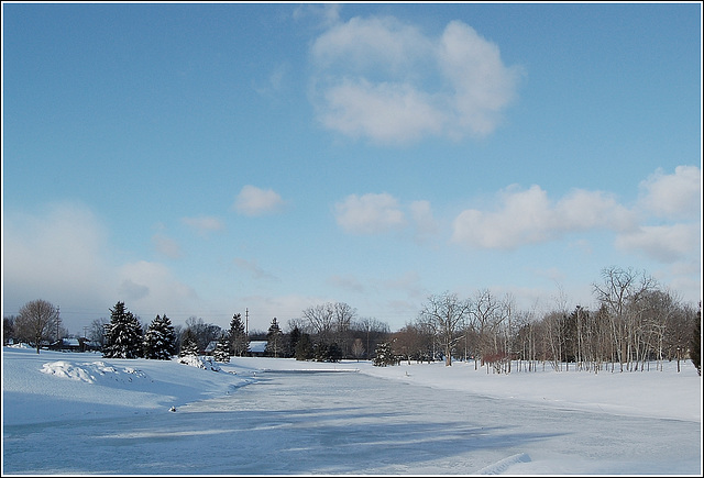 Winter Morning